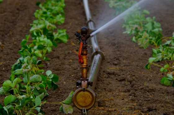 Common farm tools and equipment: Names, uses, and pictures - Legit.ng