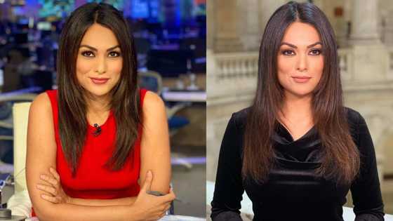 Top 25 Fox News female anchors: Most attractive presenters - Legit.ng