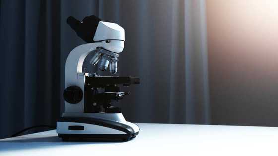 25 most common laboratory equipment and their uses with pictures - Legit.ng