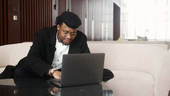 What is IPPIS number and where to check it: a simple guide - Legit.ng