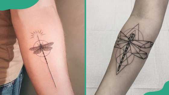 30 elegant dragonfly tattoos that are stunning and meaningful - Legit.ng