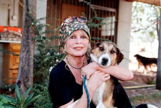 la-vie-discr-te-de-thea-charrier-petite-fille-de-brigitte-bardot