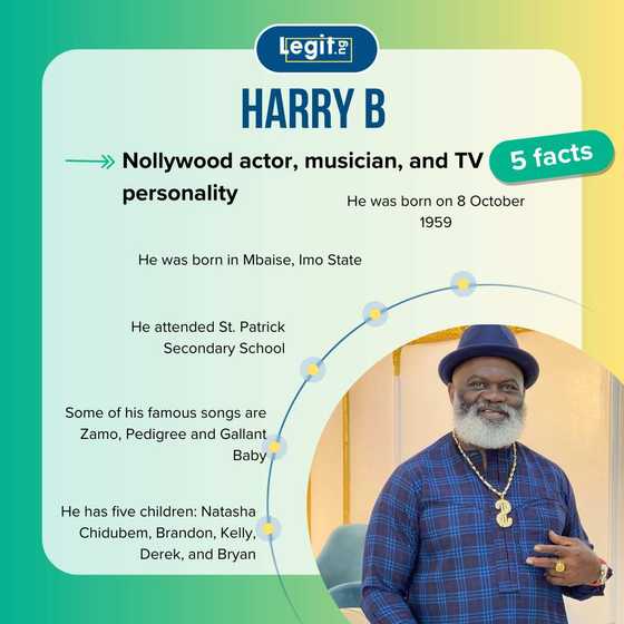Harry B's biography: The veteran actor's age, wife and children - Legit.ng