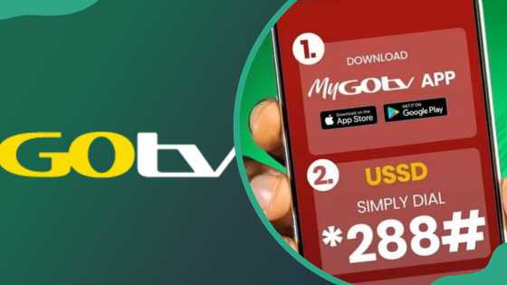 How to subscribe to GOtv Nigeria and make payments simply - Legit.ng
