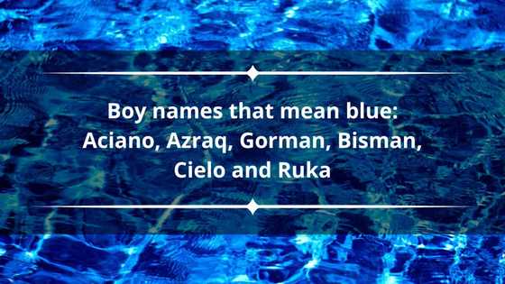 Blue First Name Blue names: 30 names that mean blue and their origins - Legit.ng