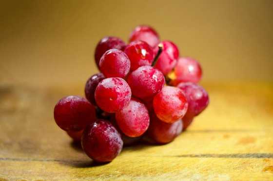 200+ things that are red: dazzling examples in nature - Legit.ng