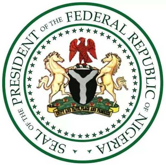 Nigerian Government structure - Legit.ng