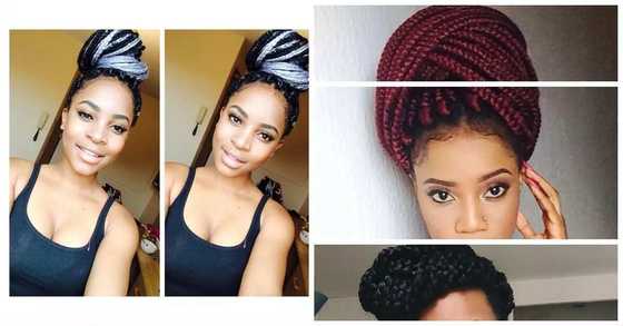 Braid Names Pack How to pack braids in different hairstyles? - Legit.ng