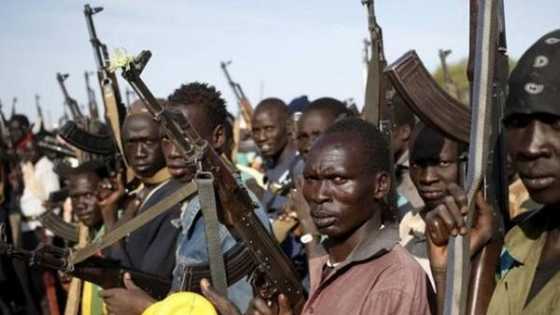 FG da gwamnonin arewa maso yamma sun hada kai wurin kawo karshen 'yan bindiga