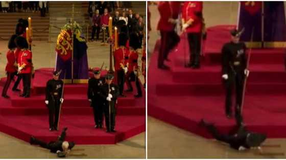 Bidiyon Dogarin Sarauniya Elizabeth II Ya Yanke Jiki Ya Fadi Yayin Gadin Akwatin Gawarta