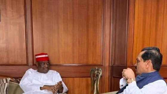 Kwankwasiyya ta fara neman Jami'ar da Matasan da ta zaba za su yi karatu