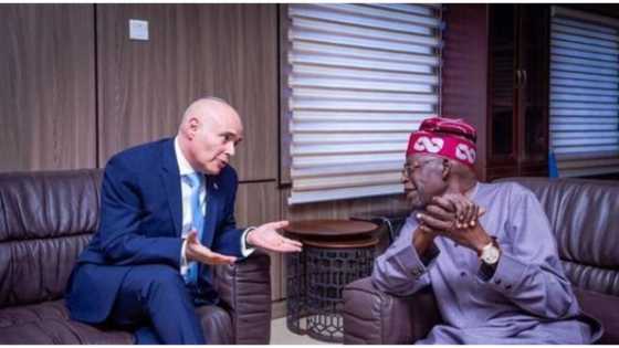 2023: Tinubu, Israeli ambassador meet at APC campaign office