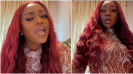 You are talented: Fans gush as Davido’s Chioma wows them with her singing voice in viral video