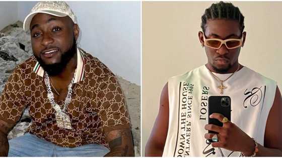 Forgive and forget: Davido tells fans as they drag man who trolled singer for years and later styled him