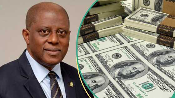 FX Code: CBN gives deadline for banks, others to meet new forex directive