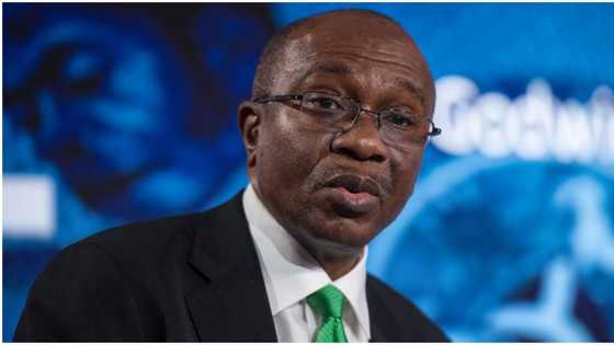 CBN investigating abokiFX founder, Oniwinde Adedotun, faces 2-years imprisonment amid rising forex rate