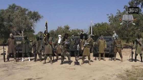 Yanzu yanzu: 'Yan Boko Haram sun yi wa manoma 44 yankan rago a Borno
