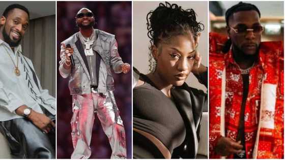 Davido, Burna Boy, Tems, D'banj & 3 other Nigerian singers who performed at sporting events, videos included