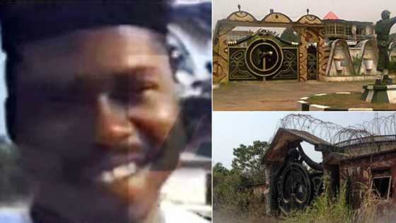 Untold story of Nigeria's King of Money Victor Okafor Ezego
