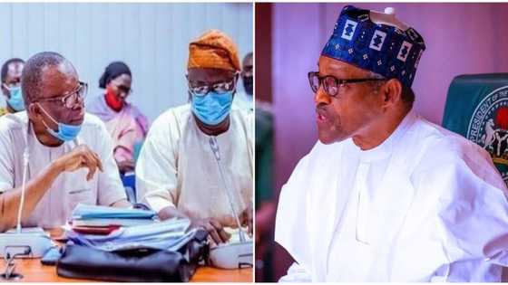 Strike: Bad news for Nigerian students as ASUU, FG meeting ends in deadlock