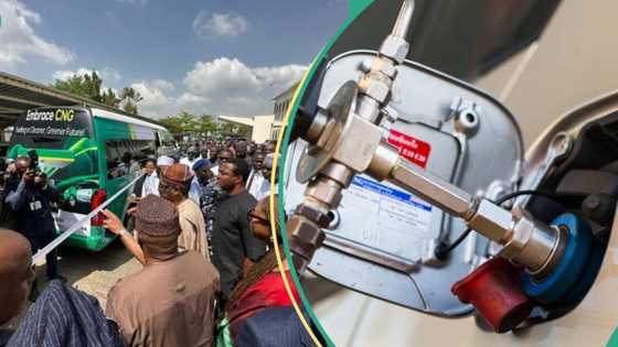 "There are no special suppliers": FG vows to prevent monopoly, cabals in CNG initiative