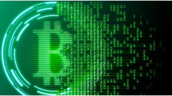 Bitcoin Crash Causes Panic Among Smallholders, As Gold Shatters As Well