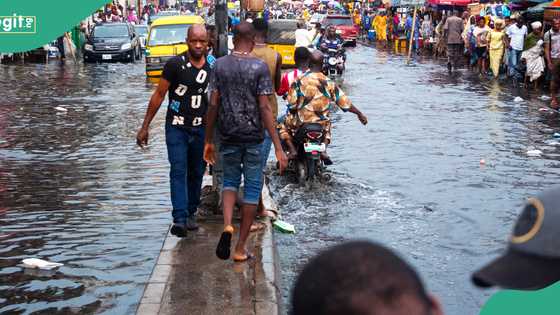 Residents stranded, shops destroyed as heavy rainfall paralyzes Kano communities