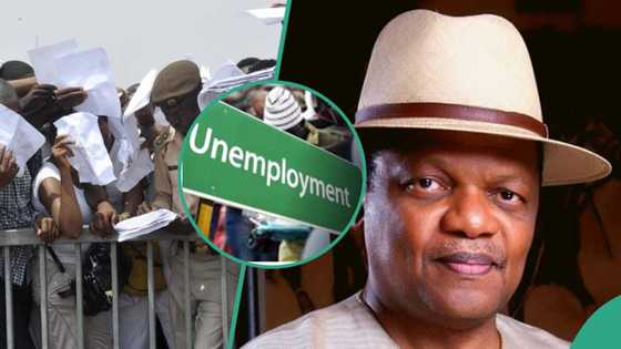 "I don't know whether to laugh or cry": Atedo Peterside reacts to Nigeria's 4.1% unemployment rate