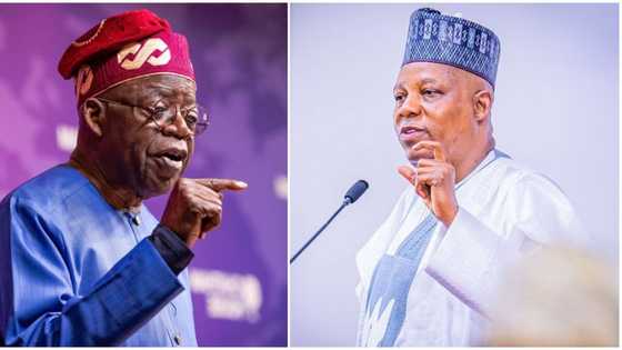 Videos show moments President Tinubu, Shettima resume office at Presidential Villa