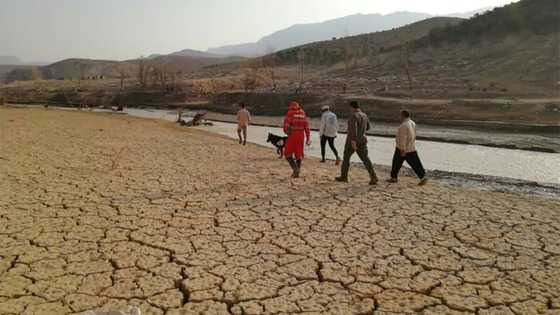More than 20 killed in south Iran floods: state media