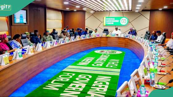 Complete list of Nigerian state governors and their political parties as of December 2025