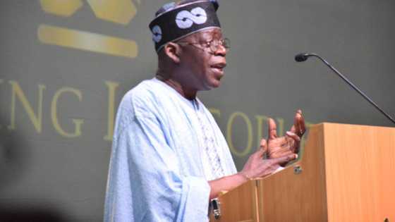 Lagos speaker hails Tinubu at 69, says Nigeria is blessed with a human gift
