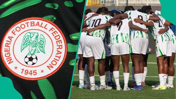 NFF set up committee to investigate Super Falcons WAFCON 2026 and 2027 Women's World Cup failure