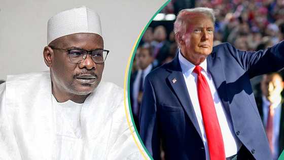 “For Trump to have come out'" Ndume reacts to US President's Christian genocide claim