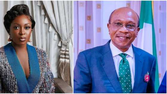 "You brought untold hardship": Kate Hateshaw bashes CBN for old naira notes recirculation