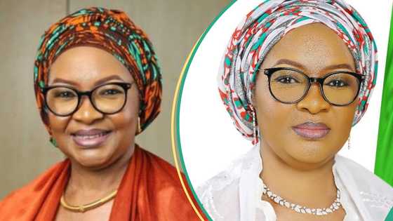 ADC appoints chair, co-chairman for Kaduna coalition