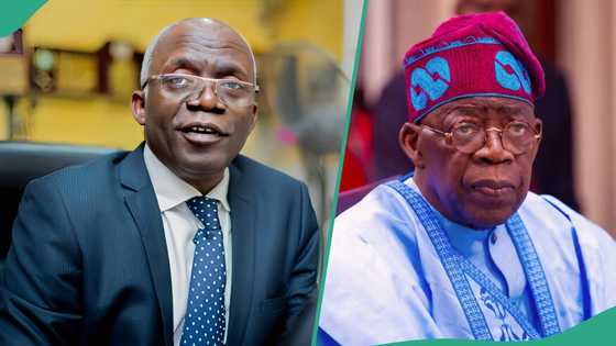 “Bribes now paid in dollars”: Falana alleges in trending interview, advises Tinubu on fuel subsidy