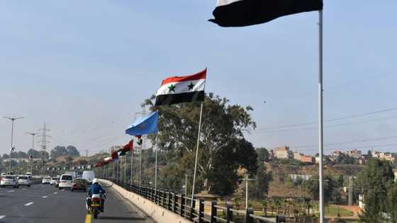 Algeria hosts first Arab summit since Israel normalisation deals