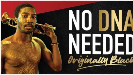 Trophy Stout Celebrates Originality with ‘No DNA Needed’ Campaign