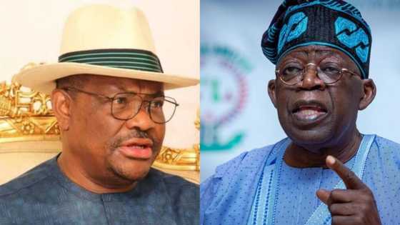 “Sai An Tauna Tsakuwa Idan Za a Kai Najeriya Gaba”: Wike Ya Goyi Bayan Tinubu Kan Cire Tallafin Mai