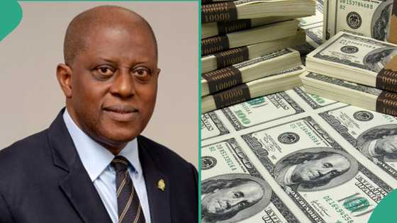 CBN records highest dollar sale in one week as Naira falls to new exchange rate
