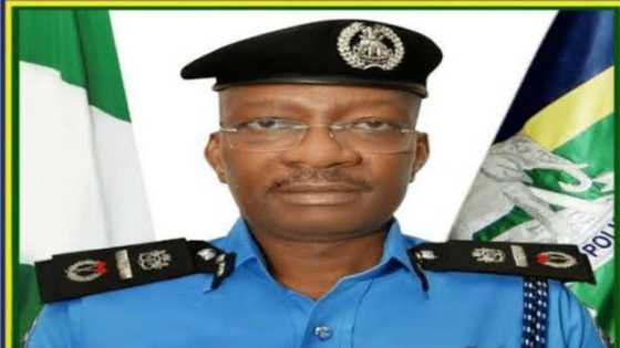 Muhimman Abubuwa 6 Da Ya Kamata Ku Sa Game Da Sabon Sufeto Janar Na 'Yan Sanda, Egbetokun Olukayode