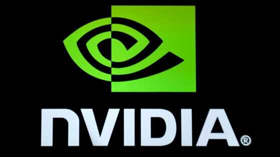 Nvidia revenue rockets on demand for powerful chips
