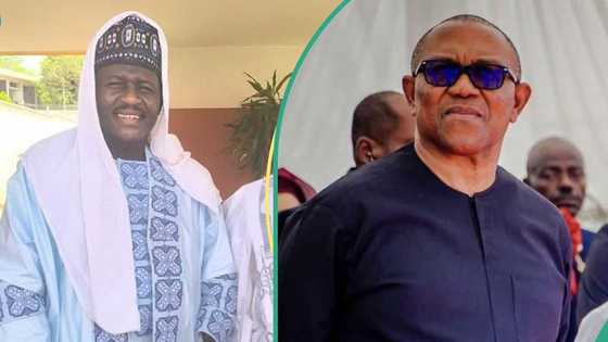 'Allah ya kashe su': Sheikh ya yi addu'o'i ga azzaluman shugabanni a gaban Peter Obi