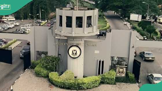 JAMB: How UTME candidates who scored less than 200 can get admission to University of Ibadan