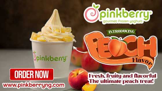 Experience a Guilt-Free Indulgence All Through the Christmas season with Pinkberry