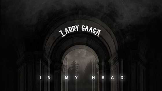 Exciting details about Larry Gaaga – In My Head ft. Patoranking that will wow you