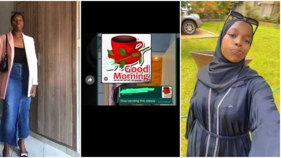 "I feel your pain": Lady who finally gave uneducated man a chance in her life shares DM he sent her