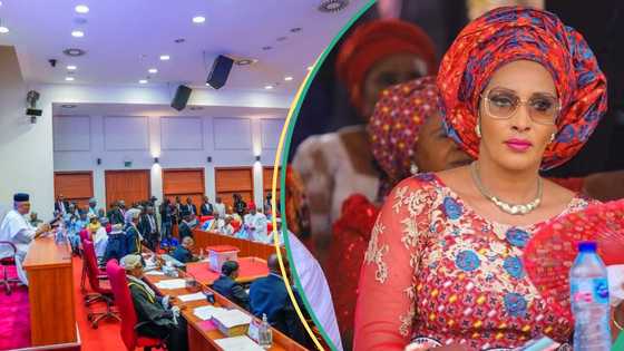 Just In: Presidency postpones ministerial screening of Bianca Ojukwu, 6 others, details emerge