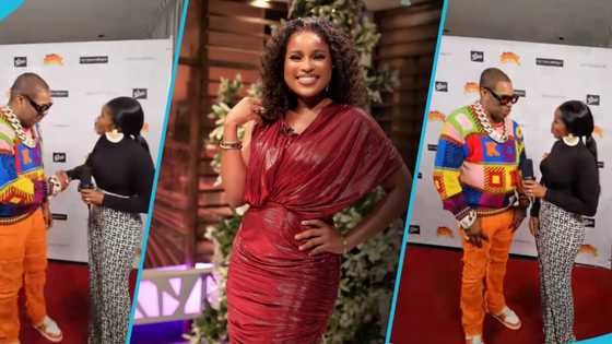 Berla Mundi shines at the 66th Grammys, spotted with Busta Rhymes, Jidenna and more, fans react